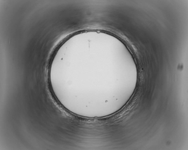 X0000096201416200802151515