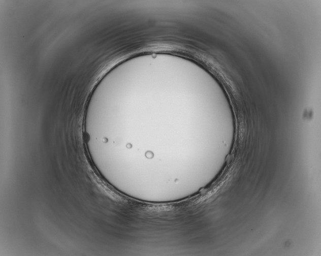 X0000096201417200802151515