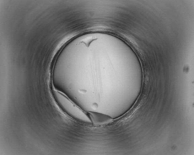 X0000096201418200802151515