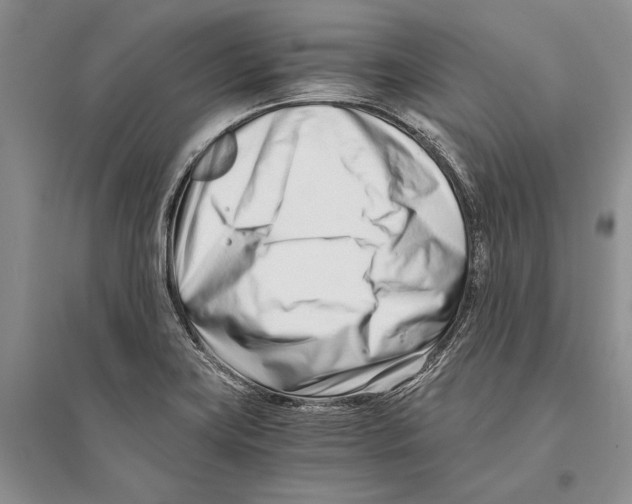 X0000096201419200802151515