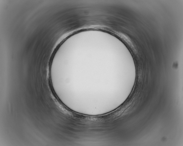 X0000096201420200802151515