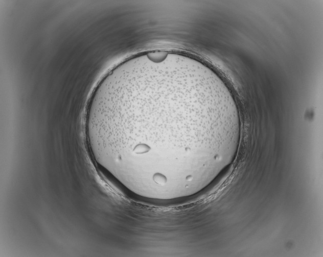 X0000096201421200802151515