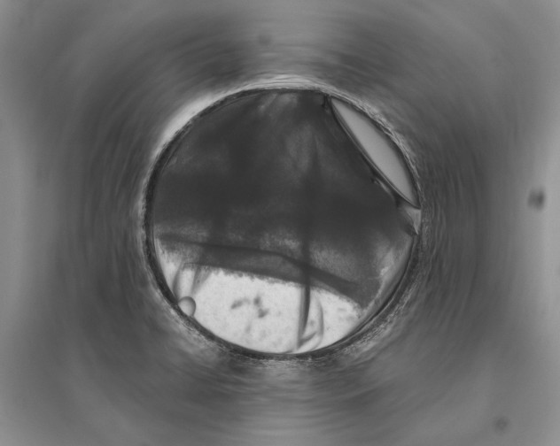 X0000096201422200802151515