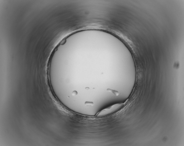 X0000096201423200802151515