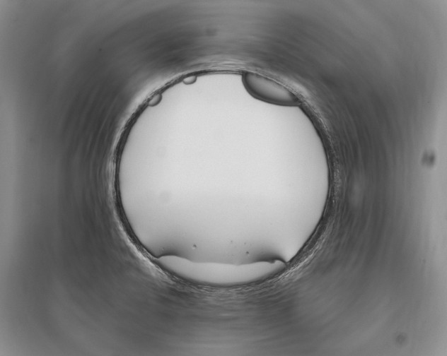 X0000096201424200802151515