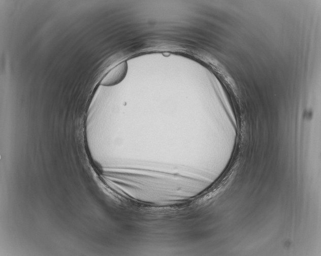 X0000096201425200802151515