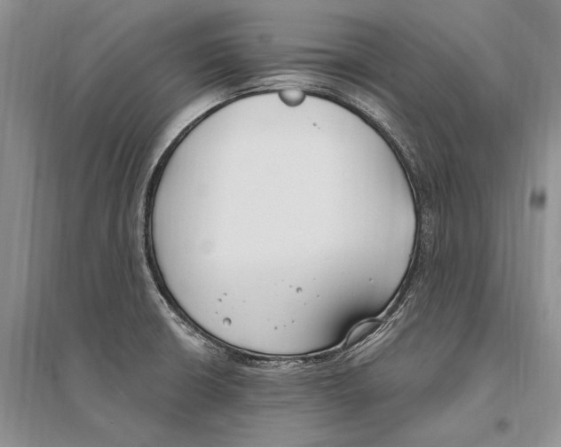 X0000096201426200802151515