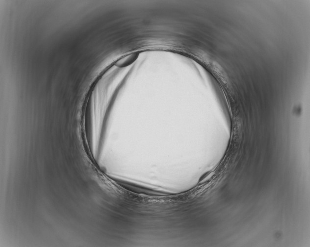 X0000096201427200802151515