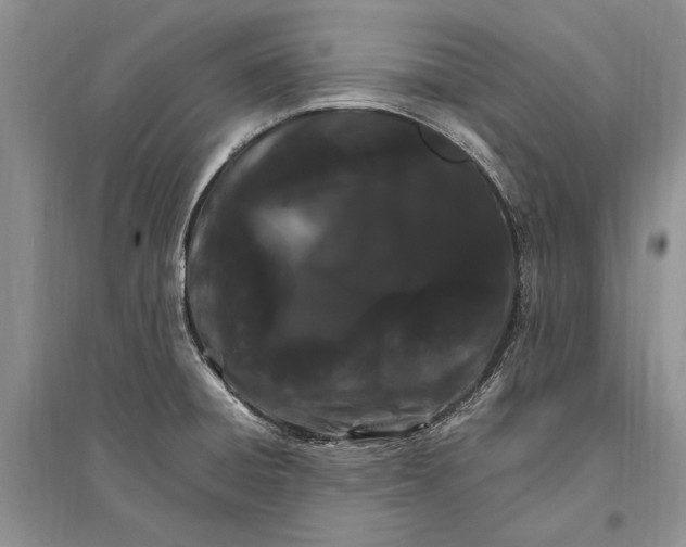 X0000096201428200802151515