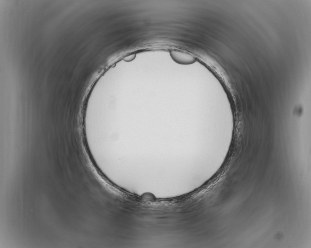 X0000096201429200802151515