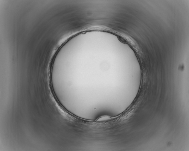 X0000096201430200802151515