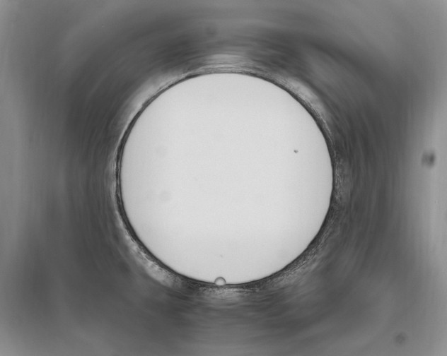 X0000096201431200802151515