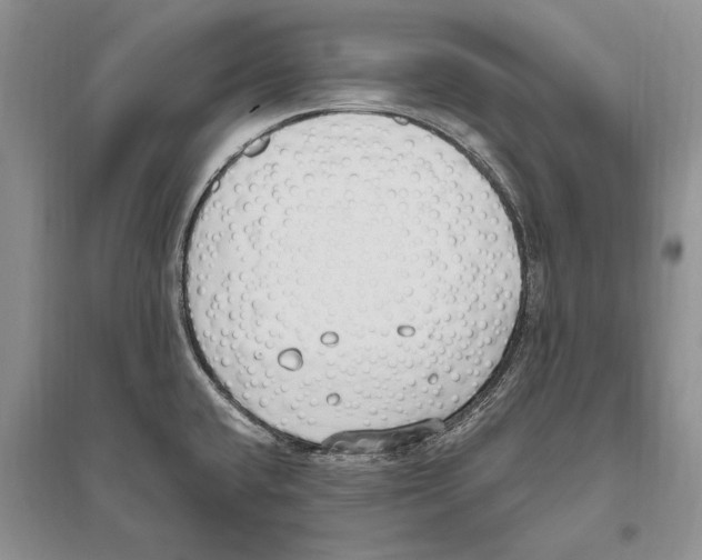 X0000096201432200802151515