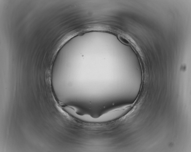 X0000096201433200802151515