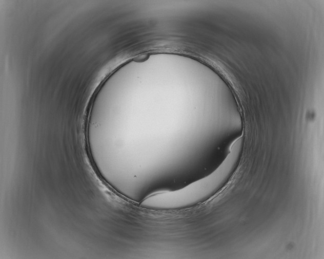 X0000096201434200802151515