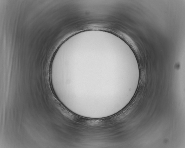 X0000096201435200802151515