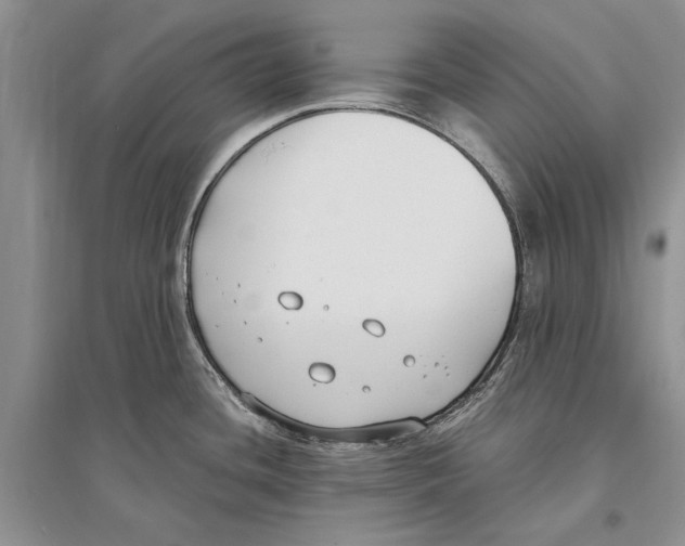 X0000096201436200802151515