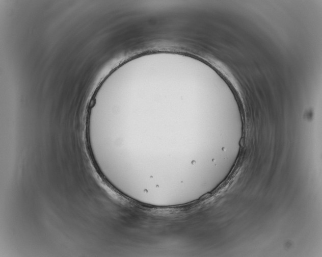 X0000096201437200802151515