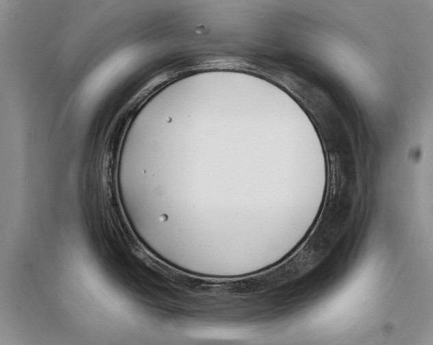 X0000096201438200802151515