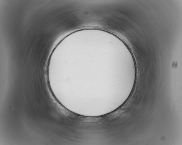 X0000096201440200802151515