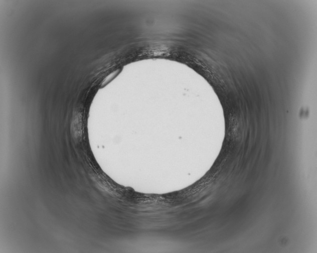 X0000096201442200802151515