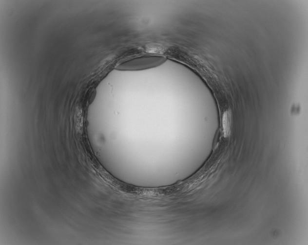 X0000096201443200802151515