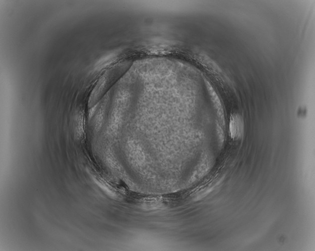 X0000096201444200802151515