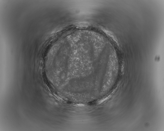 X0000096201445200802151515