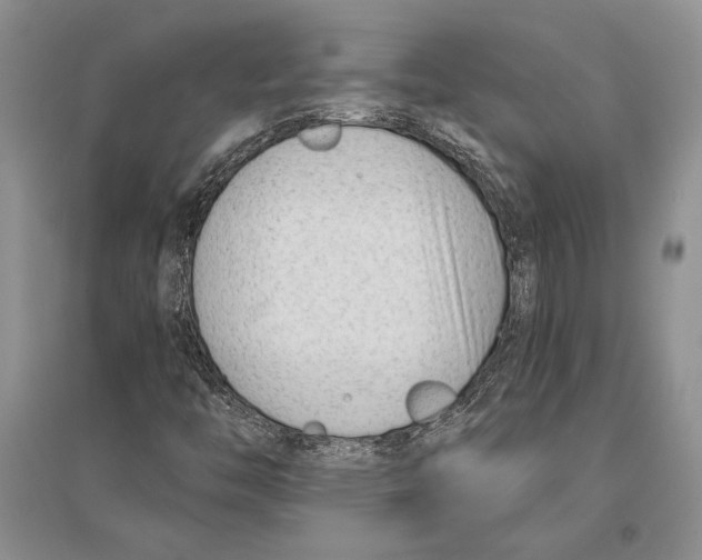 X0000096201446200802151515