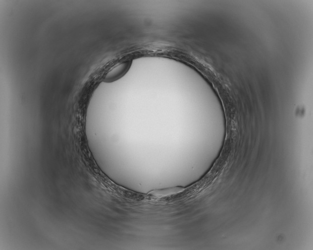 X0000096201447200802151515