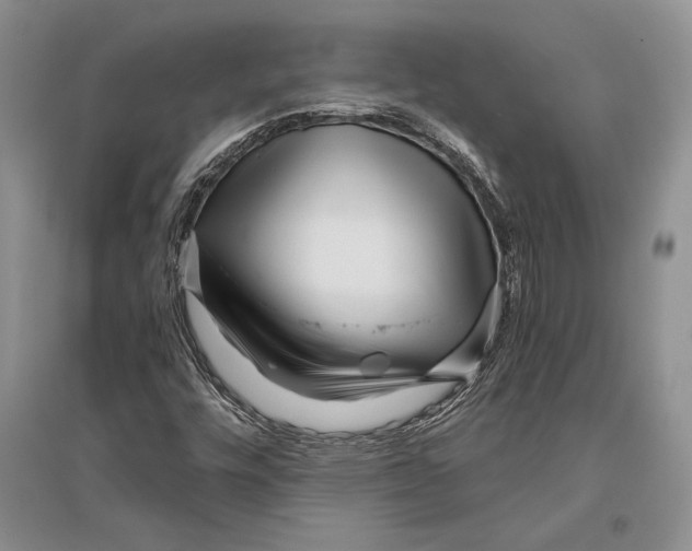 X0000096201448200802151515