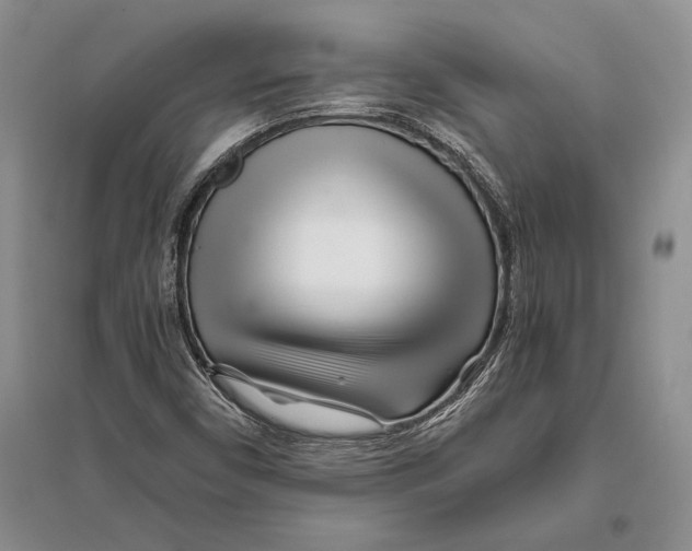 X0000096201450200802151514