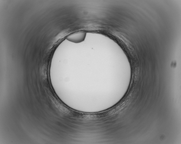 X0000096201451200802151514