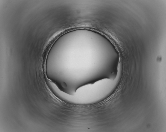 X0000096201452200802151514