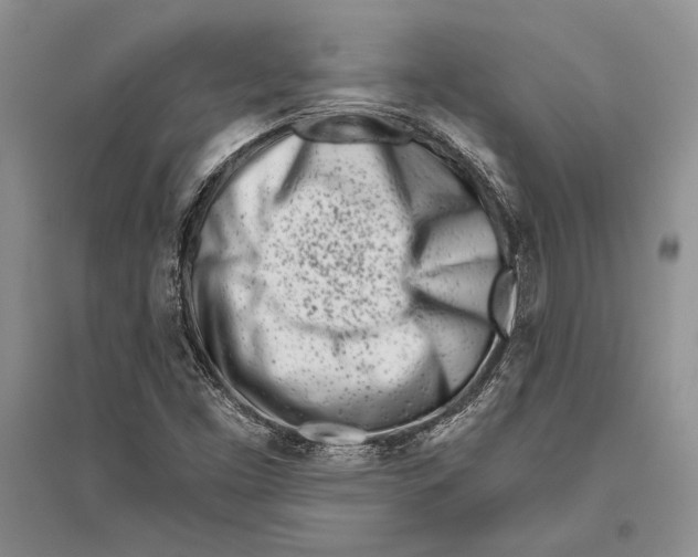 X0000096201453200802151514