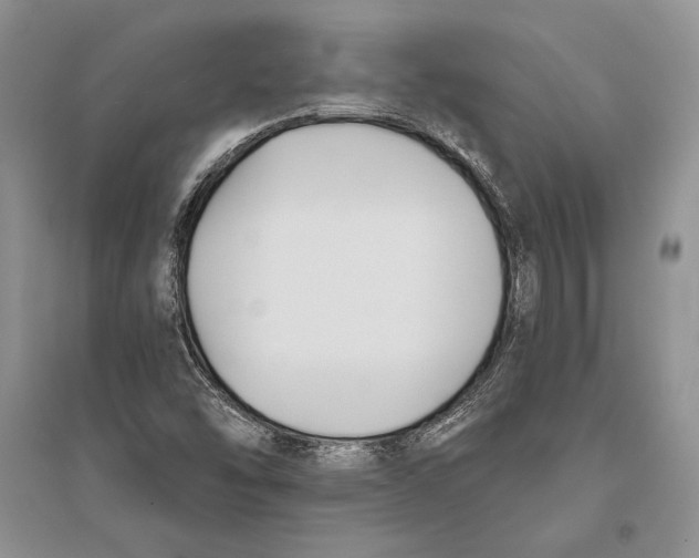 X0000096201454200802151514