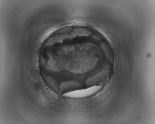 X0000096201455200802151514