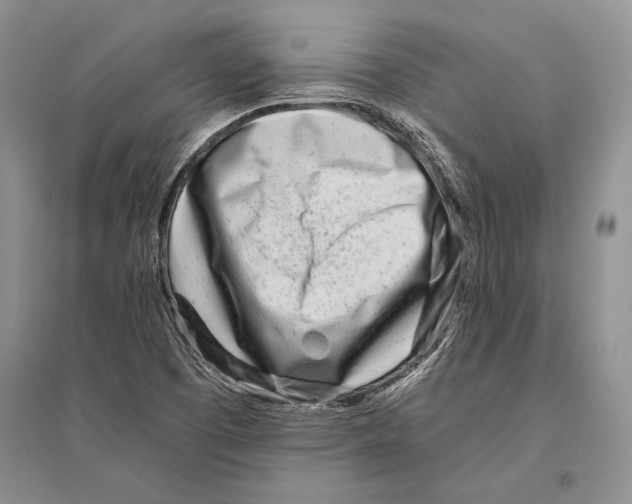 X0000096201457200802151514