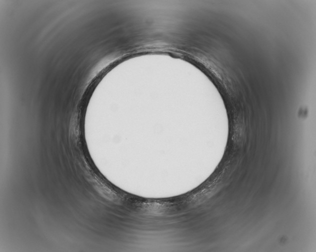 X0000096201458200802151514