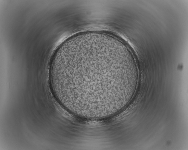 X0000096201459200802151514