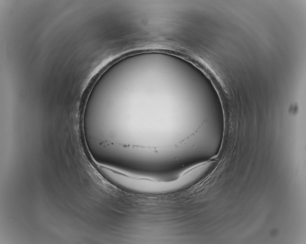 X0000096201460200802151514