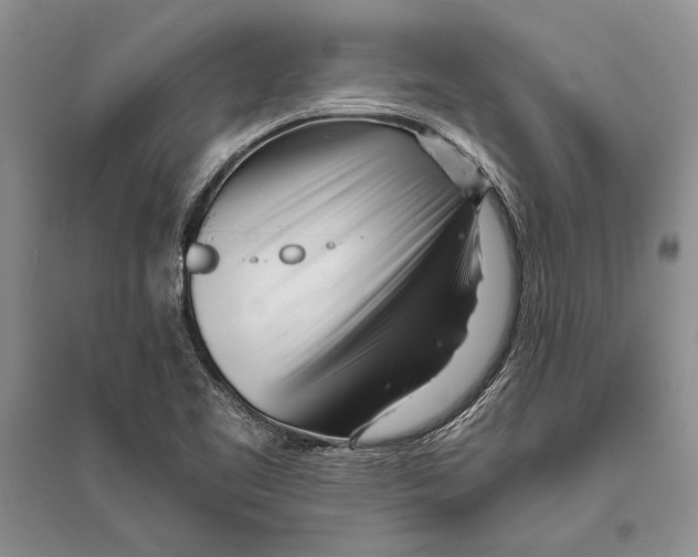 X0000096201461200802151514