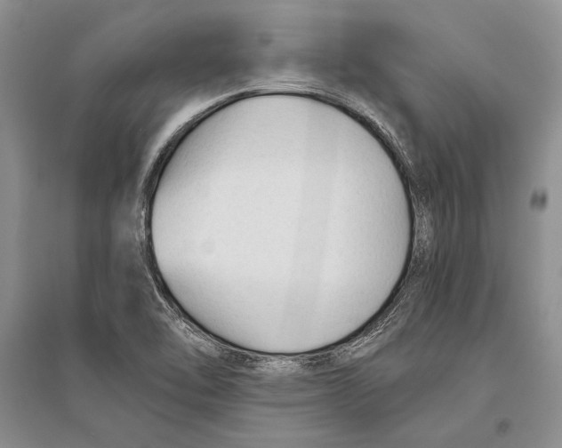 X0000096201462200802151514