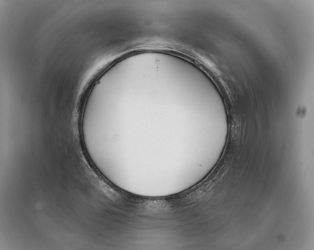 X0000096201464200802151514