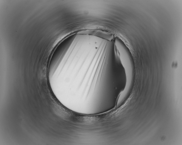 X0000096201465200802151514