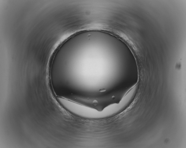 X0000096201469200802151514