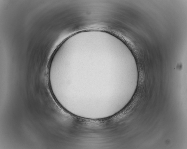 X0000096201470200802151514