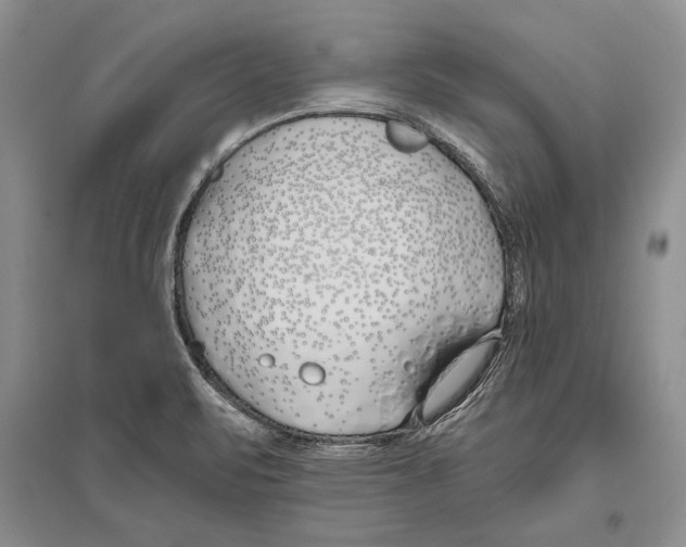 X0000096201471200802151514