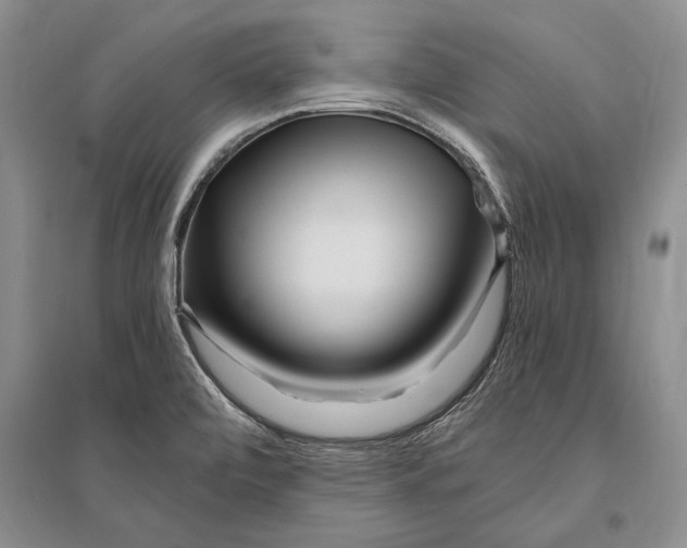 X0000096201472200802151514