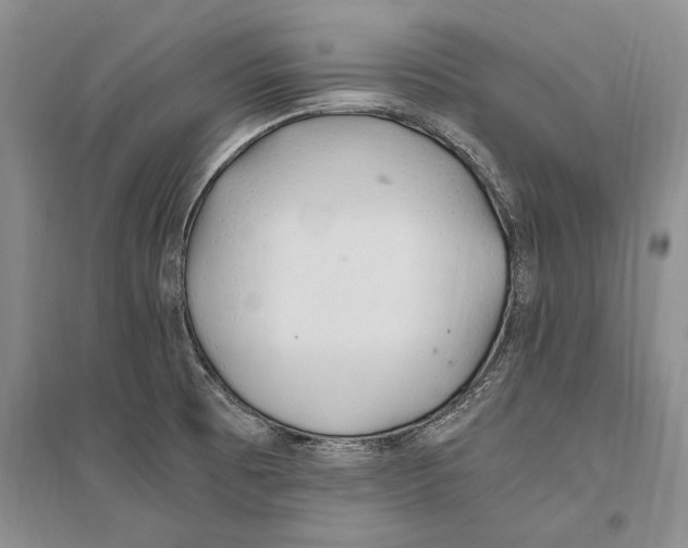 X0000096201473200802151514